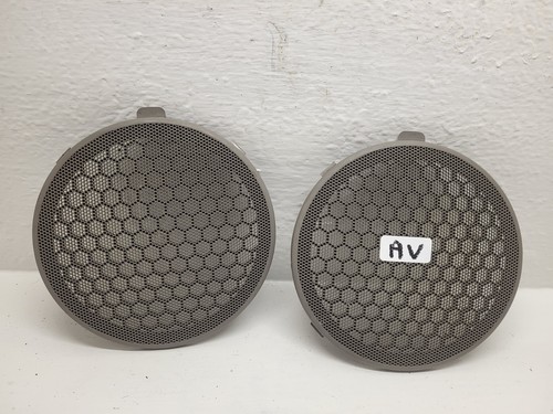 Grille haut parleur porte