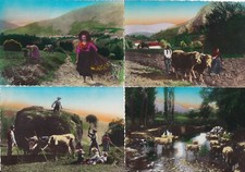 Lot 4 cartes postales postcards 10x15cm PAYS BASQUE tableaux Pyrénées campagne 2