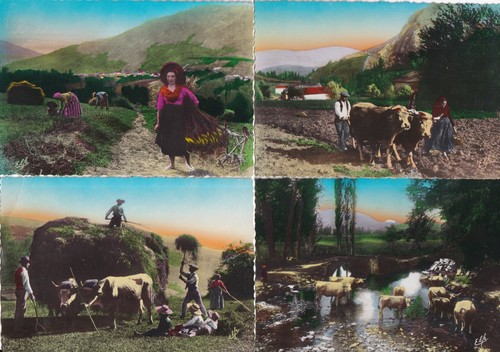 Lot cartes postales - 4,