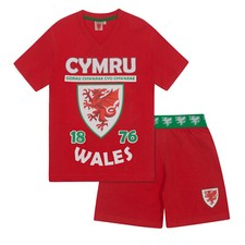 Équipe du Pays de Galles