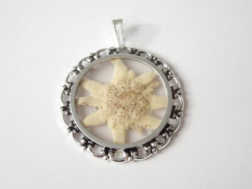 Pendentif edelweiss séché - edelweiss,