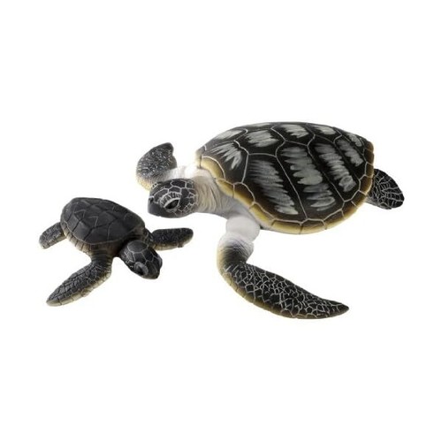 Ania tortues vertes - as-20,