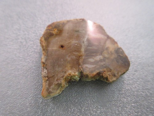 Madagascar petrified wood - madagascar,