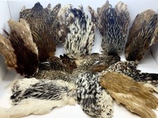 Plumes Cou Capes de Poule pour