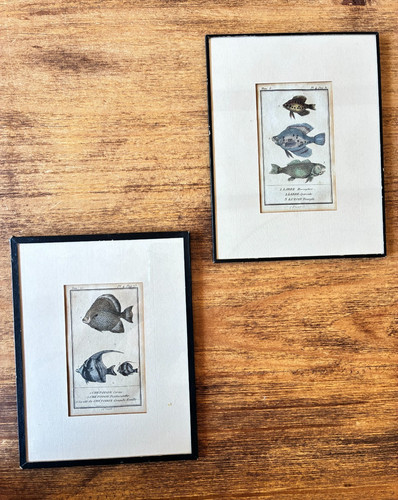 Paire gravures anciennes - 2,