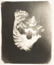 Miroslav Tichy  Tirage argentique d'époque  60x50  Circa 1970     Tira