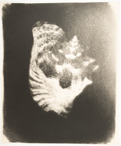 Miroslav tichy tirage - tichy,