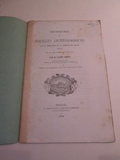 LOIRET COSSON - fouilles sur