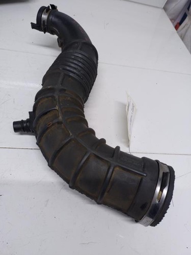 Durite renault scenic - renault, 2