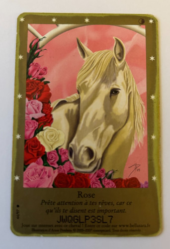 C63 carte bella sara rose - c63/,