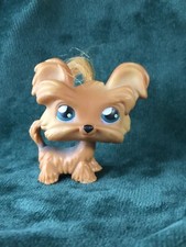 💖🌺Petshop CHIEN