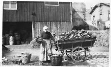 BD679 Carte Photo vintage card RPPC Femme woman charriot fleuri fleurs charrette