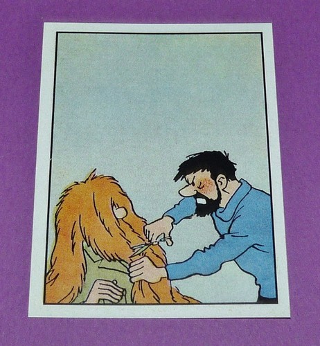 206 panini tintin herge - panini,