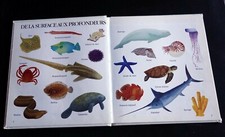 Les animaux de l'eau premiers