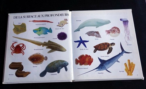 Les animaux eau premiers - les, de