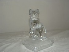 SUPERBE CHAT SUR SON COUSSIN