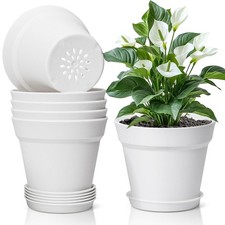 Pot de Fleur Interieur 19 cm