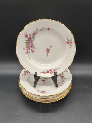 Lot assiettes creuses - lot,