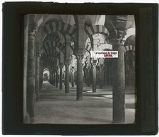Mosquée, Cordoue, photo plaque de verre, noir & blanc, positif 8,5x10 cm