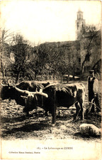 CORSE CORSICA - LE LABOURAGE