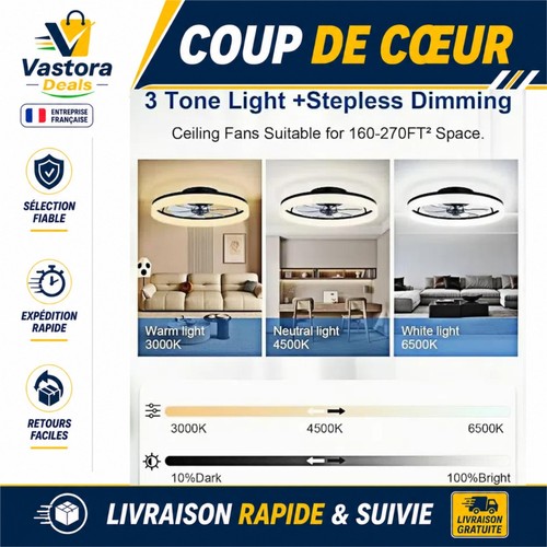 Ventilateur plafond - ventilateur,