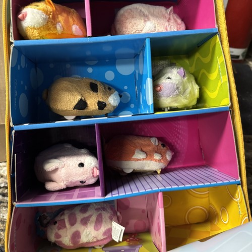Zhu pets hamster - zhu,
