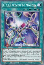 Yu-Gi-Oh! Fleur Éphémère du Magicien : C DOOD-FR089