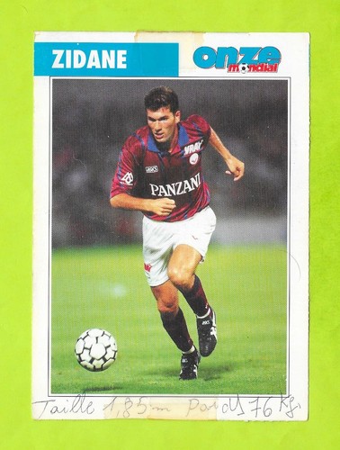 Fiche onze mondial zinedine - -,