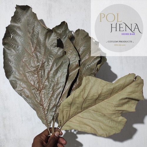 Teak leaves herbal tea - teak,
