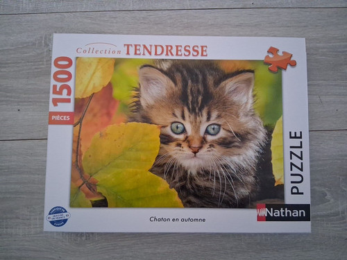 Nathan chaton automne 1500 - nathan, en