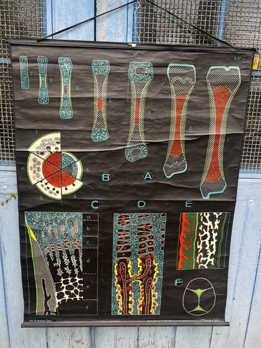 Affiche ancienne scolaire - affiche,