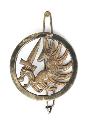 Insigne beret para - insigne,