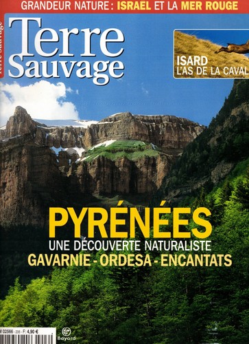 Terre sauvage 206 - sauvage,