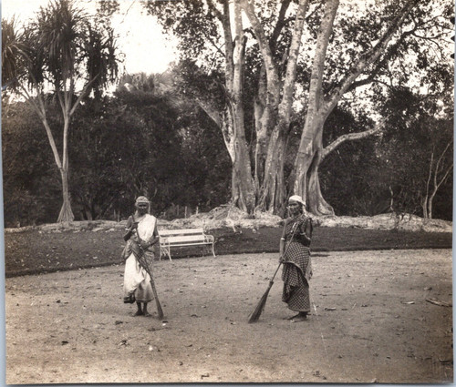Ceylan kandy - ceylan, (sri