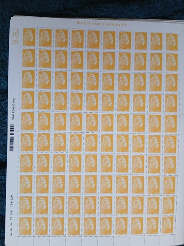 Lot feuilles entieres - lot,