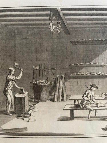 Gravures encyclopedie - 4,