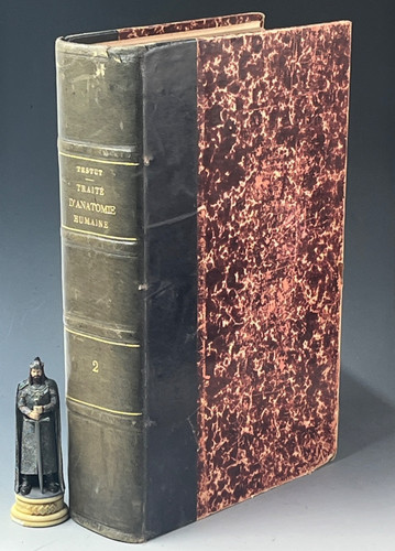 Testut traité d anatomie - l.,
