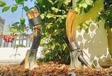 5 cornes à boire vikings avec
