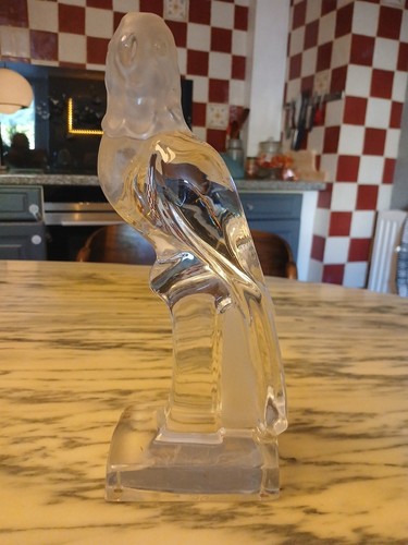 Daum perroquet oiseau - daum,