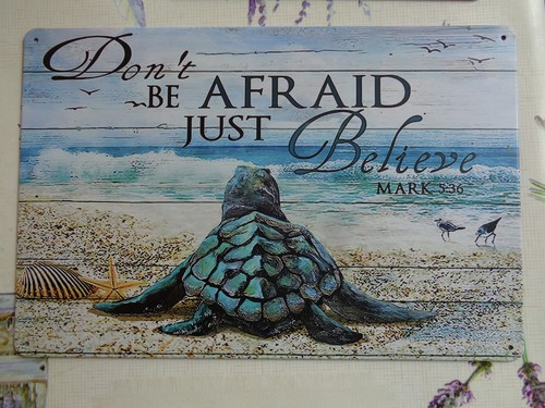 Tole metal tortue mer x - tortue,