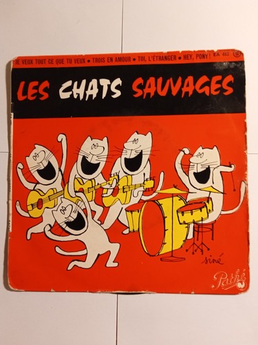 Les chats sauvages - chats,