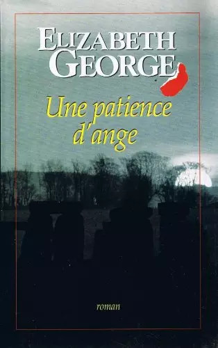 Une patience ange roman - patience,