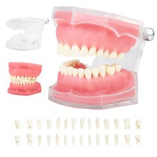 Modèle de démonstration