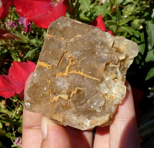 Cube xll fluorite - xll,