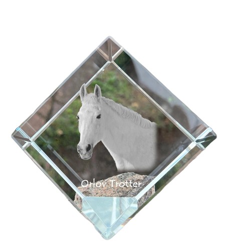 Trotteur orlov dé cheval - orlov,