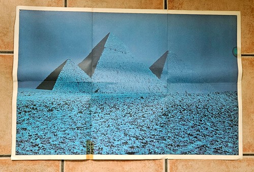 Poster pink floyd blue - pink,