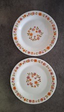Authentique vintage / retro des 60’s série Scania : lot de 2 assiettes à dessert