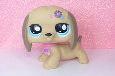 Authentic littlest lps petshop - authentic,