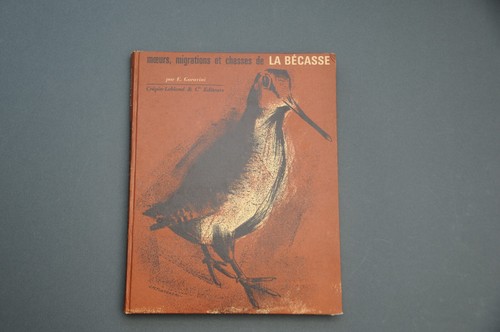 Chasse bécasse garavini - chasse,