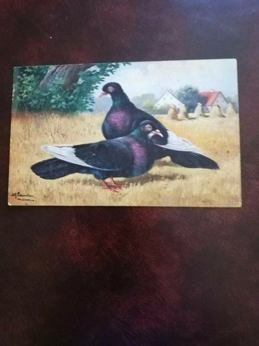 Antique postcard a pair - antique,